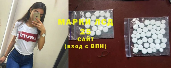 гидропоника Гусиноозёрск