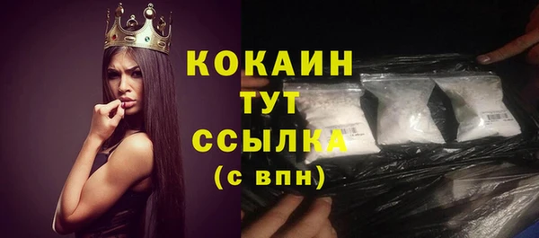 ECSTASY Гусев