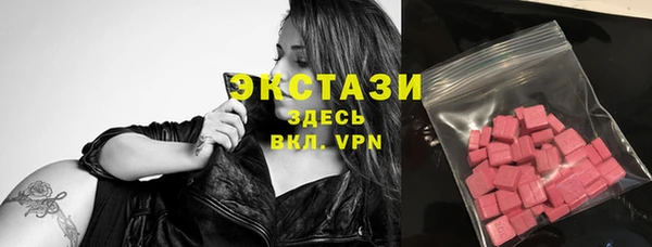 ECSTASY Гусев