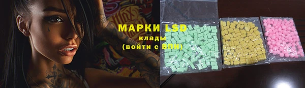 гидропоника Гусиноозёрск