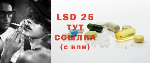 ECSTASY Гусев