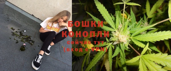 марки lsd Гусь-Хрустальный