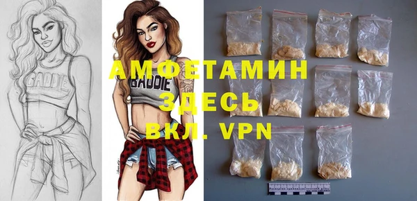 гидропоника Гусиноозёрск