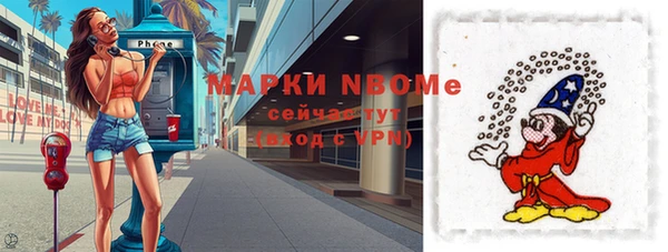 гидропоника Гусиноозёрск