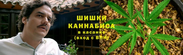 гидропоника Гусиноозёрск