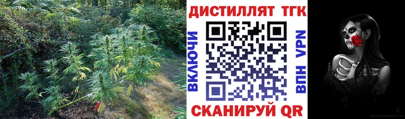 Купить закладки  Клинцы  ТГК жижа 